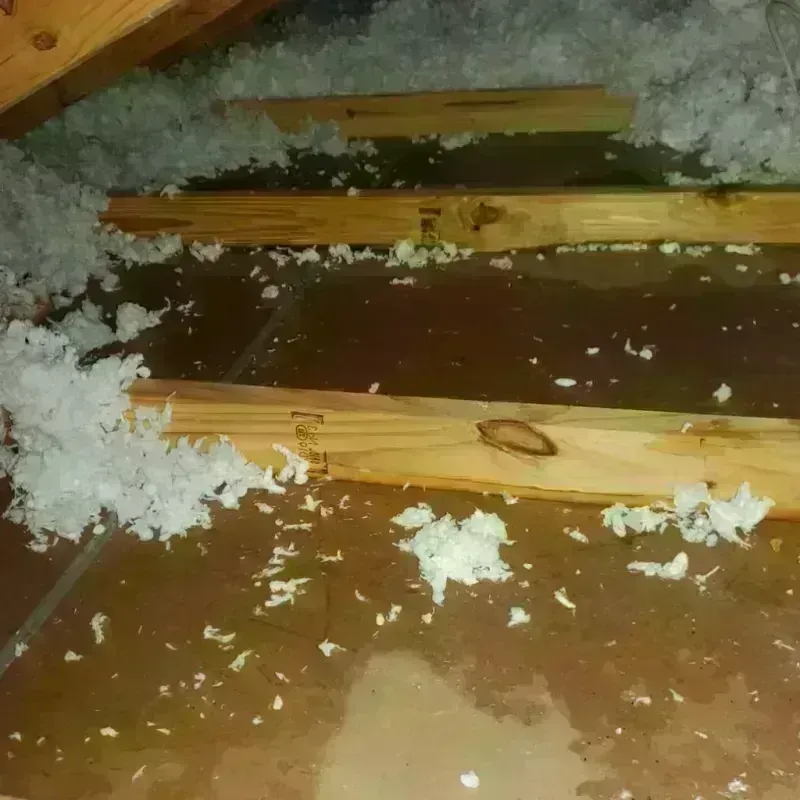 Attic Water Damage in Washington County, CO