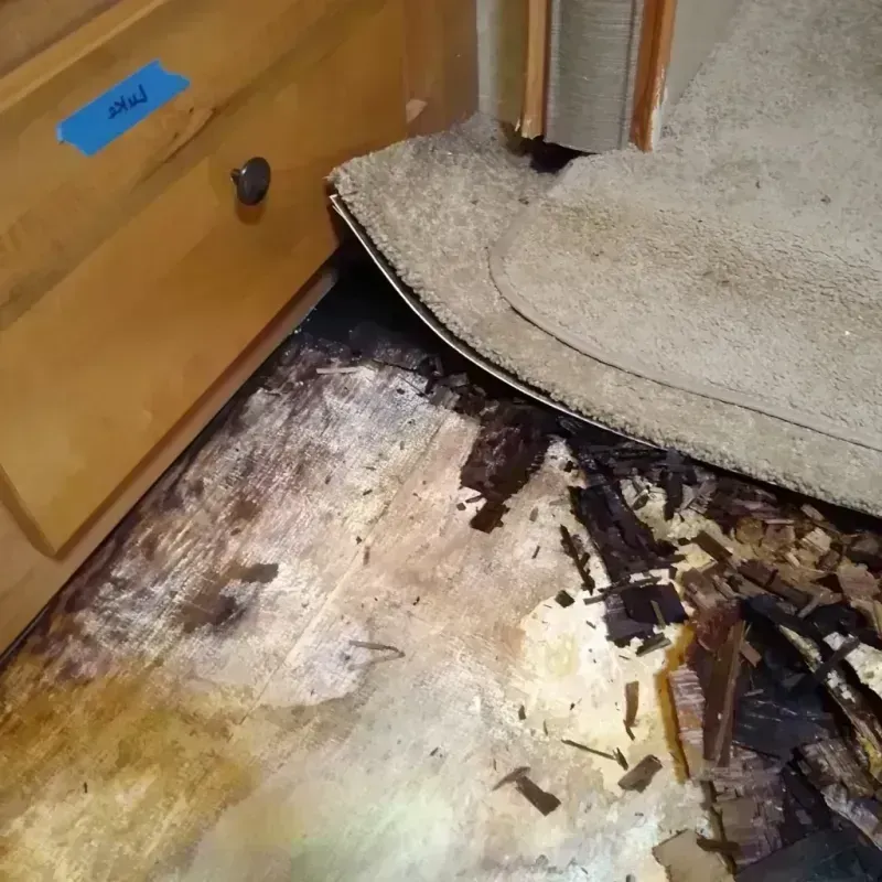 Wood Floor Water Damage in Washington County, CO